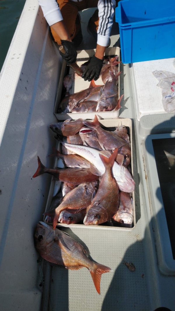 今週火曜の釣果