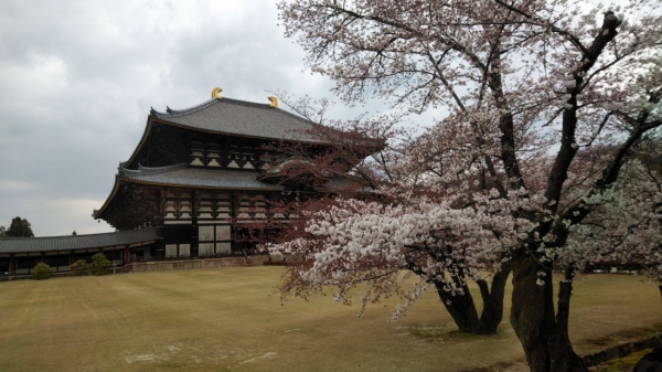 奈良観光の定番東大寺