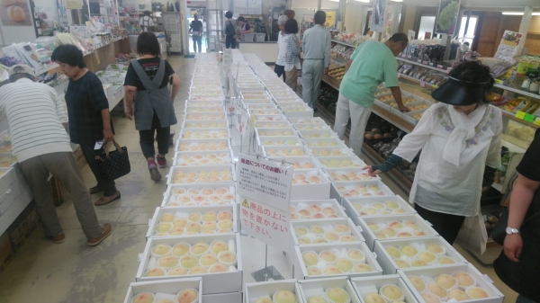 大量の桃が飛ぶように売れていた。