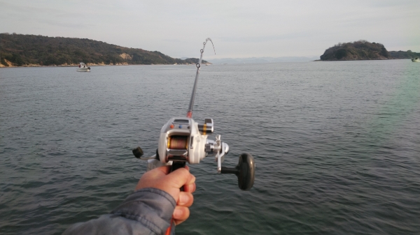 サビキ釣りにも電動リールを使用