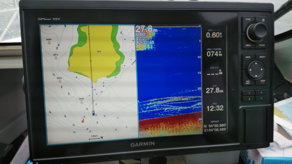 やっと見つけた鯛の魚影
