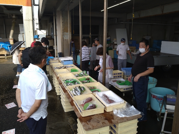 格安販売される鮮魚