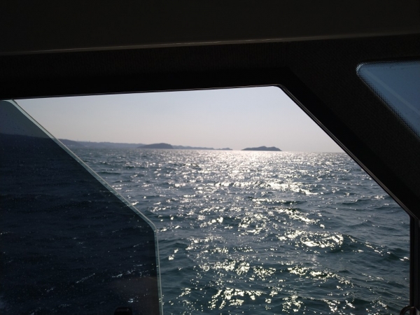 和歌浦沖は風速5m