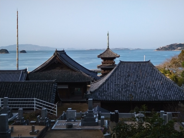 墓地もちょっとした展望台
