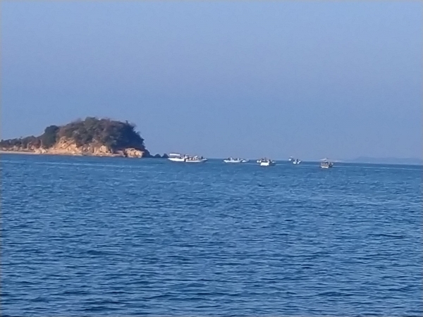 黄島の鯛サビキ船団