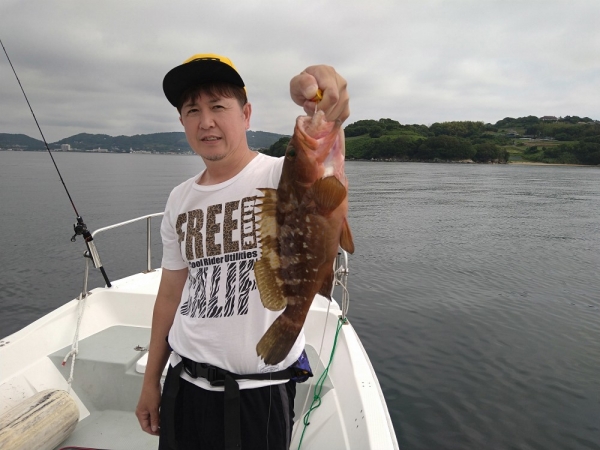 この時期アコウ釣りには欠かせない