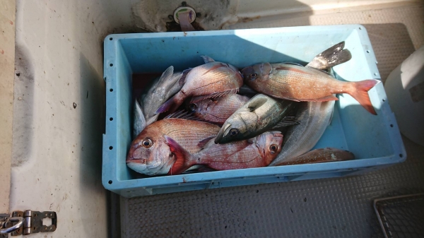 5日の釣果
