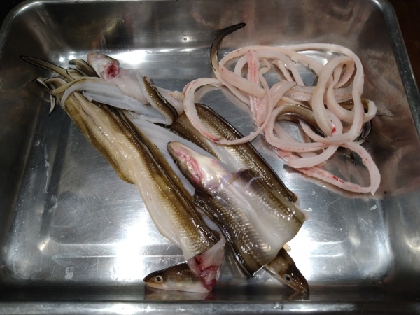 腕は良いが包丁が悪く上手く開けない