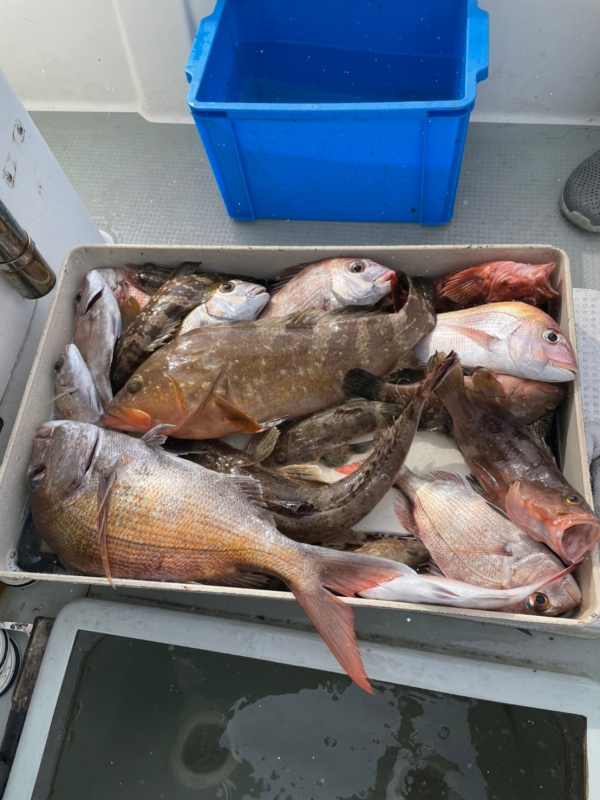 10月4日、大部大島での釣果