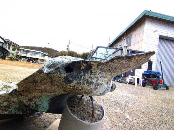 ギヤオイル交換用ドレン
