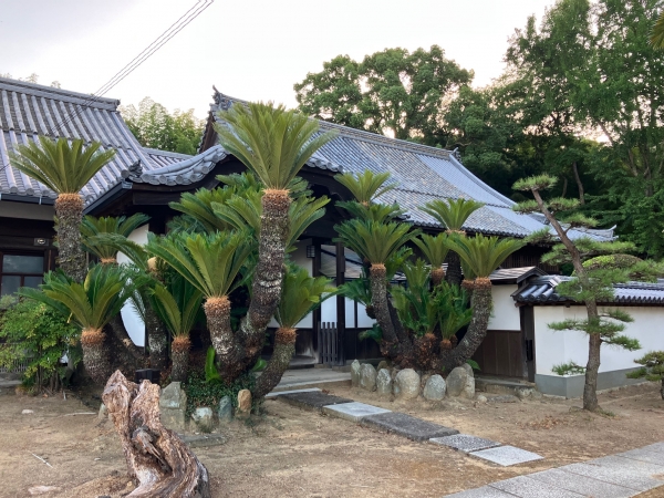 墓地は本蓮寺（法華宗）内にある