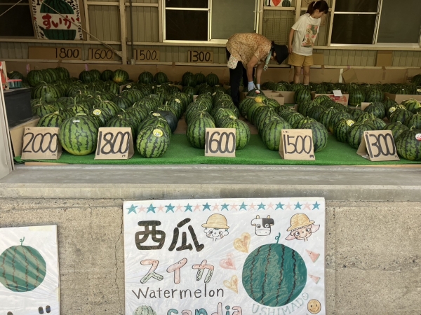 西瓜専門の直売所