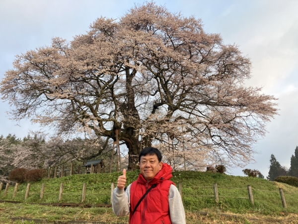 毎年ローカルニュースに映る桜