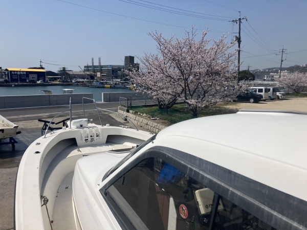 船、桜、海、日本ならではの景色