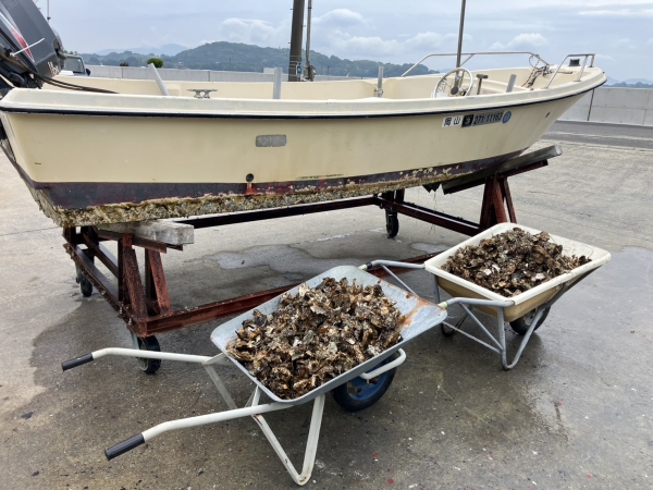 牡蠣除去