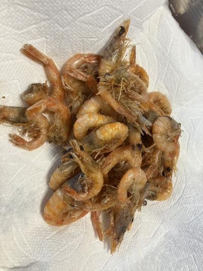 人が食べても美味しいガラエビ
