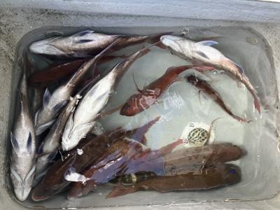 エア抜きする間がなく