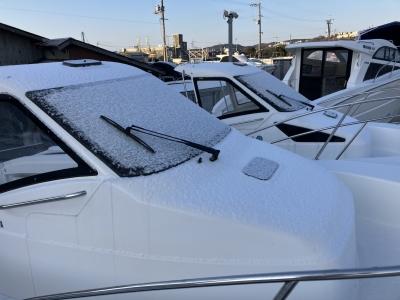 お約束通り船のデッキで転んだ