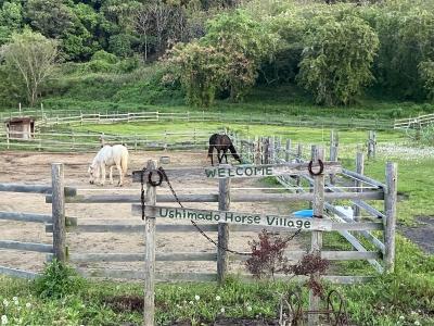 Ushimado　Horse　Village