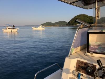 朝まずめは最高の時合