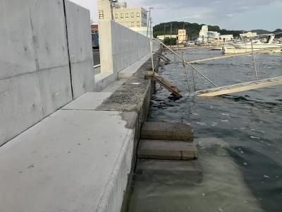 真新しい防潮堤