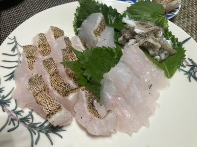 アコウの炙り＆刺身＆湯引き