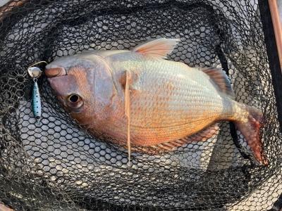 ブレードジグ40g