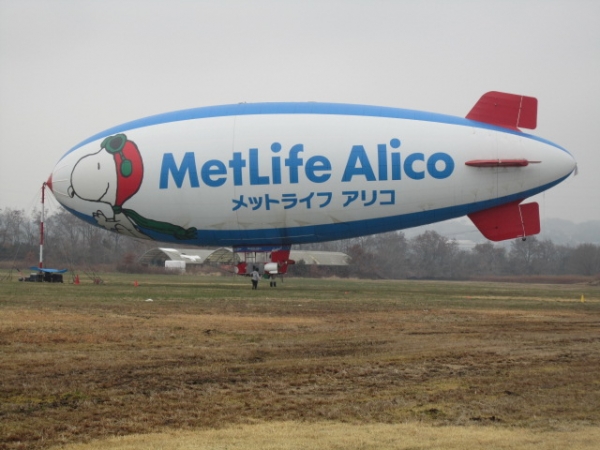 横からのビュー