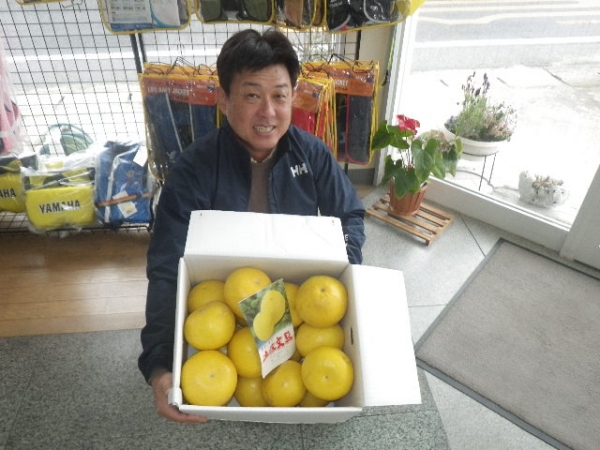 文旦はビタミンＣやミネラルを多く含み高血圧の薬とも…
