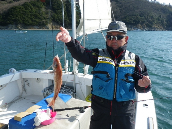 釣れたのはレギュラーサイズの鯛