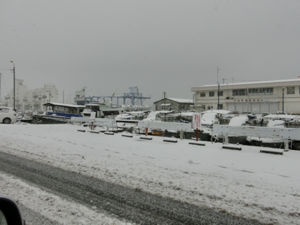 積雪に慣れない町民は大慌て！