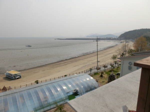 木浦の干潟はテナガダコの宝庫