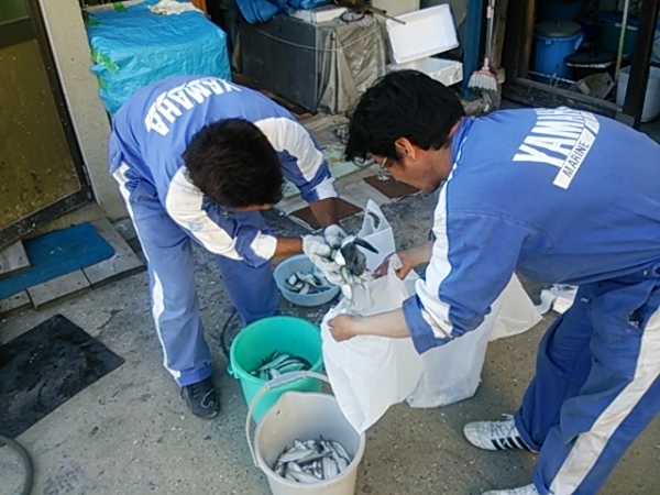社員平等に分配