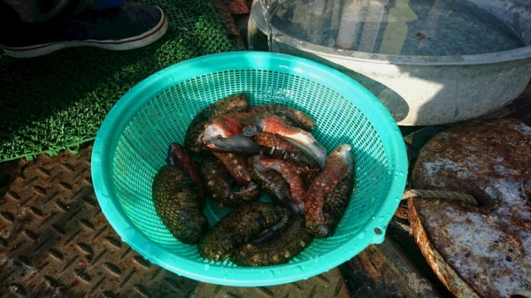 内臓を取り細切れにし焼きゲタを加え酢の物完成