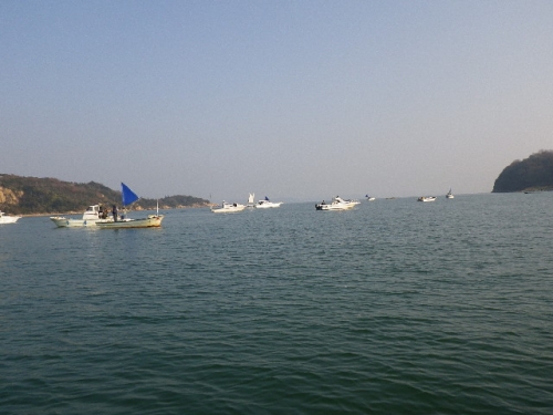 鯛釣り船団（平日）