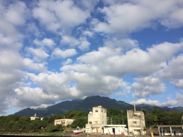 何となく南国ってのが良い～