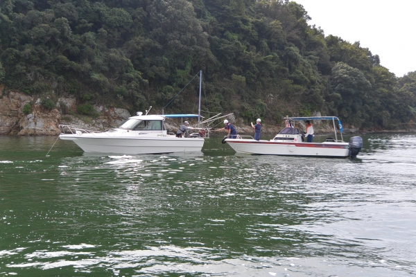 青島前にて訪船指導