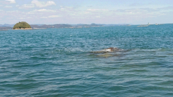 釜ノ蓋…洗岩なので極めて危険