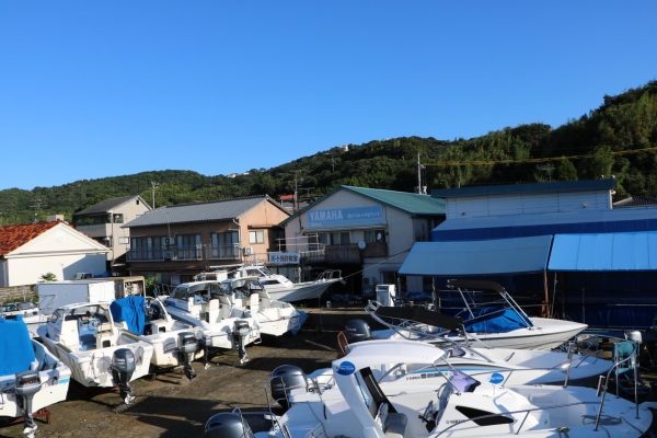 一夜明け正に台風一過、言葉通りの晴天