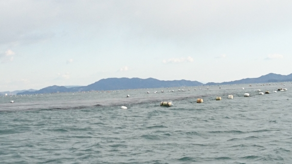 『海苔網』