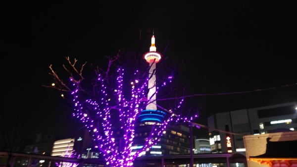 この日京都は冷たい霙
