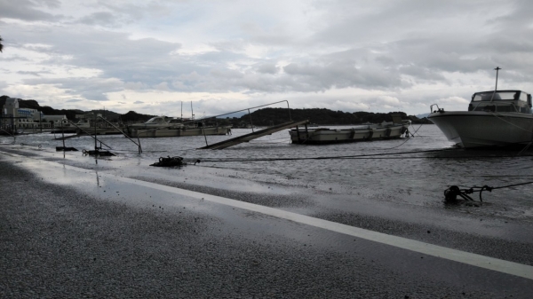 弊社裏の海岸道はギリギリセーフ