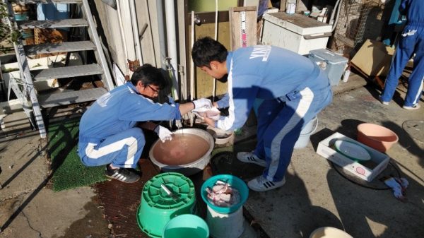エラと内蔵を取り血を洗い流す