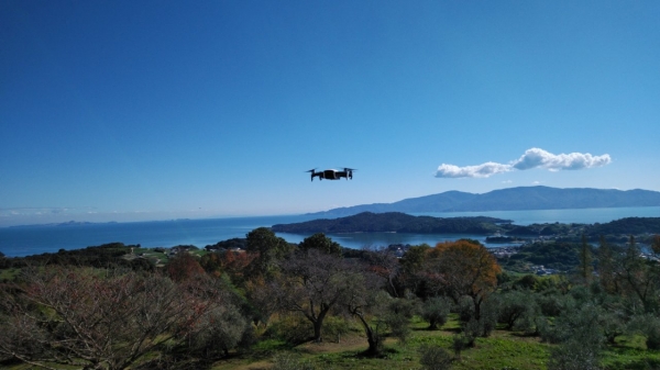 オリーブ園上空の小型ドローン