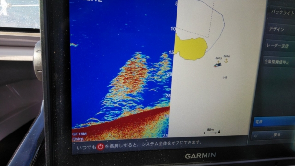 今時期、鯛は小型中心の数釣り