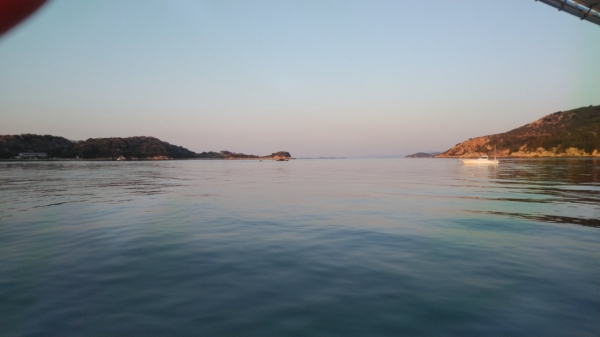 海はベタ凪、でも鯛は釣れず…