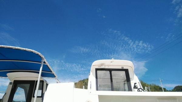 空が高く感じられます