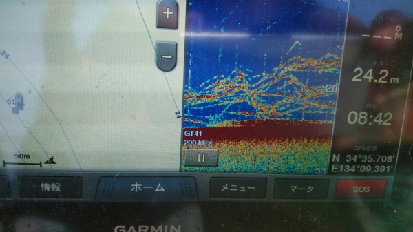 この魚影を見てアドレナリンが噴き出た