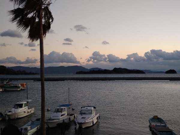 寒そうな夕暮れ