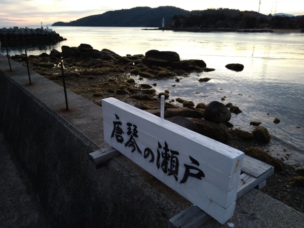 こんな小さな干潟にもゴロゴロいた